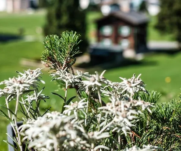 Luxury Davos Apt For 4 With Panorama Terrace & 5-Star Hotel Spa Access *